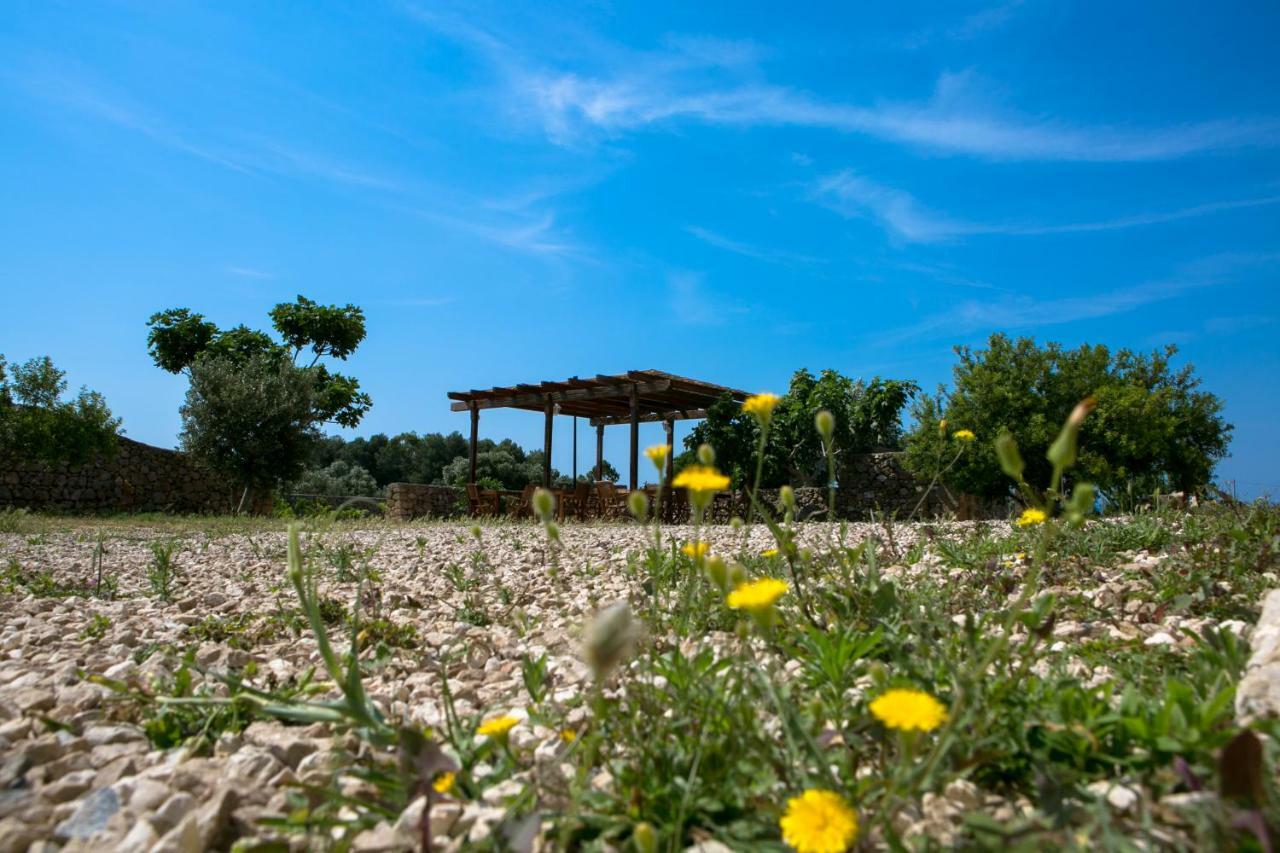 Antica Masseria Ficazzana - Tenuta Marina Di Pescoluse Bagian luar foto